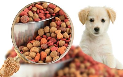 Pet Food Labeling & Guaranteed Analysis