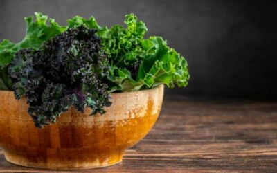 The Critical Need for Heavy Metal Testing in Kale Chips