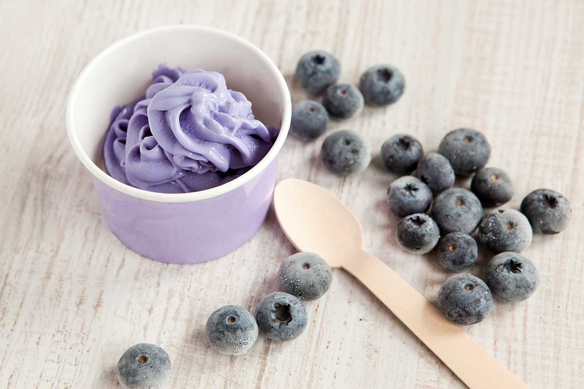 Blueberry frozen yogurt in a cup with a spoon and blueberries.